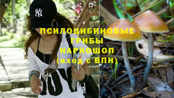 соль ск Алзамай